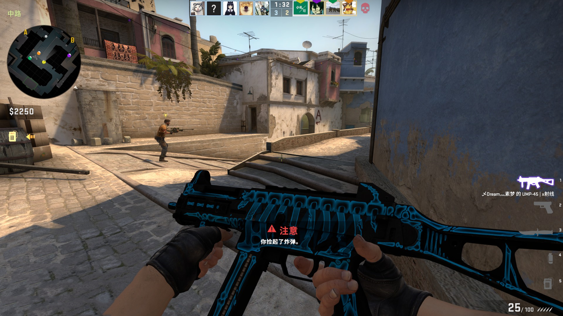 中进步的体 中进步的体