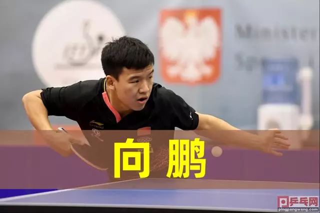 表现出色 表现出色