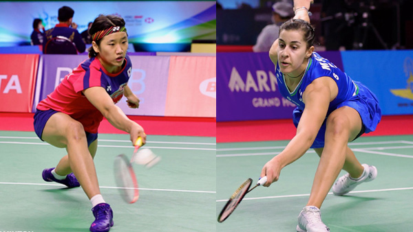 体的市场格 体的市场格