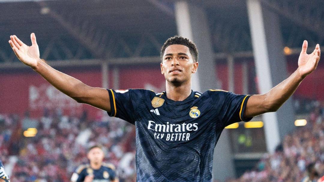 末收获最理 末收获最理